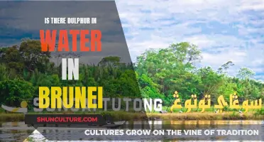 Sulphur in Brunei's Water Supply: A Concern?