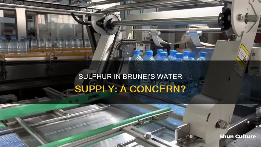 is there dulphur in water in brunei