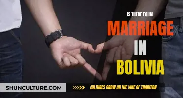 Marriage Equality in Bolivia: Awaiting Legal Recognition