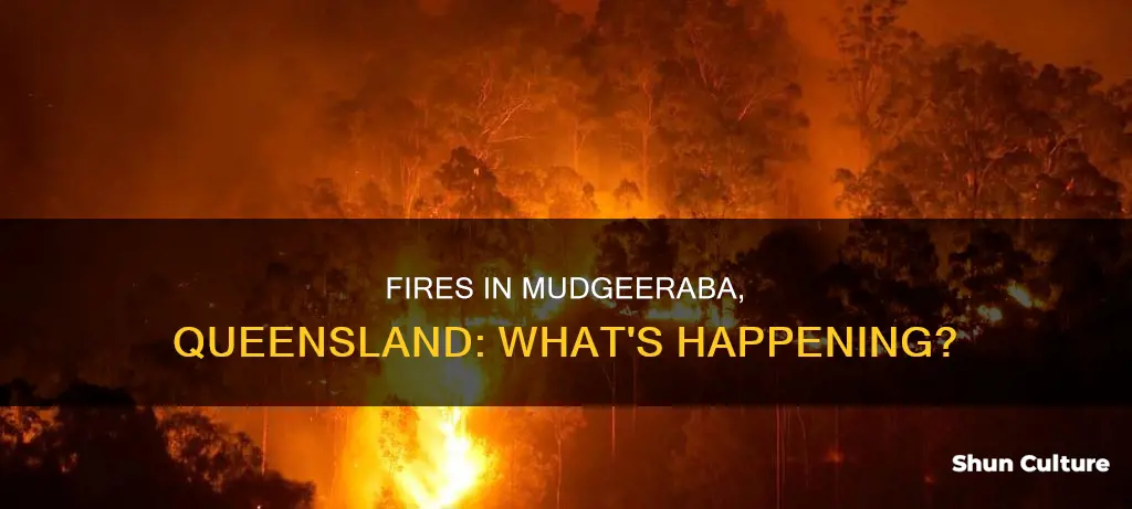 is there fires in mudgeeraba queensland austria