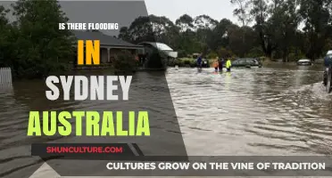 Sydney Flooding Update: Current Situation and Impact on Residents