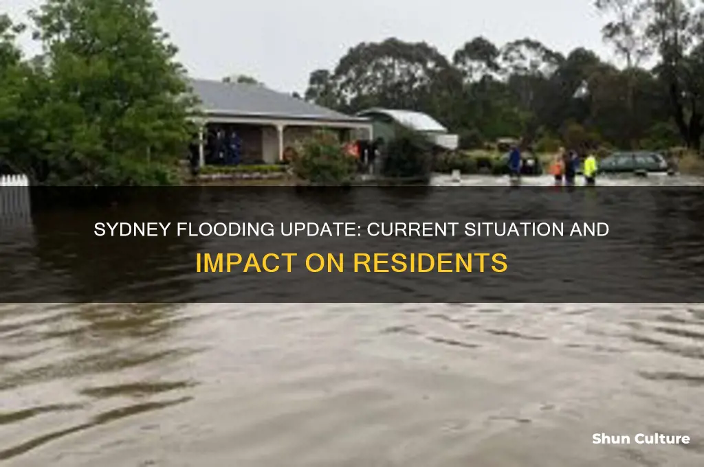 is there flooding in sydney australia