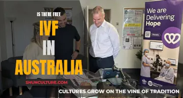 IVF Treatment Accessibility in Australia: Who Qualifies for Free Care?