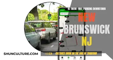 Parking in New Brunswick: Free or Fee?