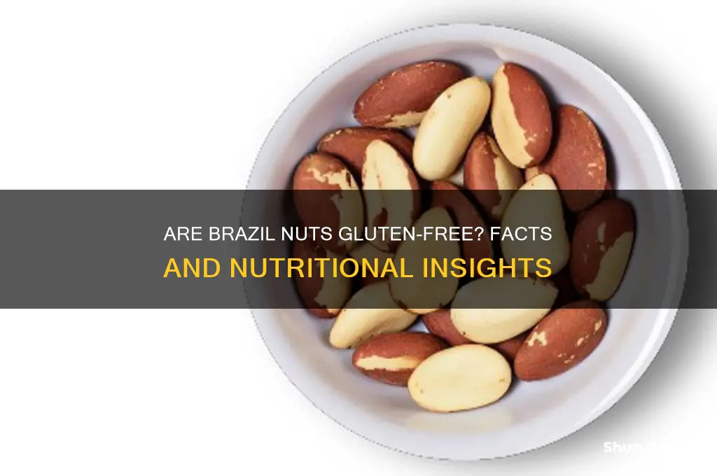 is there gluten in brazil nuts