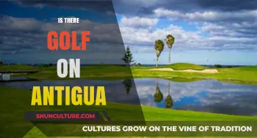 Exploring Antigua's Golf Scene: Courses, Resorts, and Tee Times
