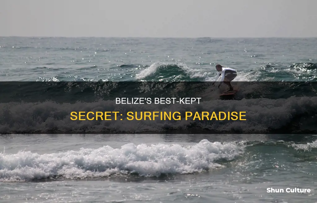 is there good surfing in belize