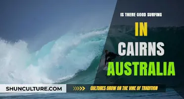 Great Barrier Reef: Surf's Up in Cairns, Australia?