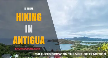 Exploring Antigua's Trails: Discover Hiking Adventures in the Caribbean Paradise