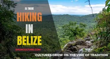 Hiking in Belize: Exploring the Country's Natural Beauty and Ancient Secrets