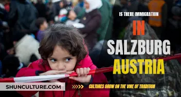 Immigration in Salzburg, Austria: What's the Situation?