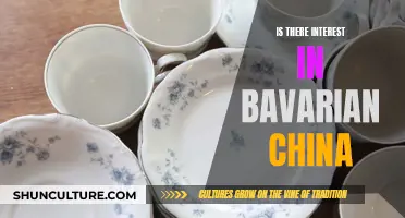 Bavarian China: A Niche Interest or Mainstream Fascination?