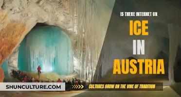 Internet on Ice: Austria's Unique Online Experience