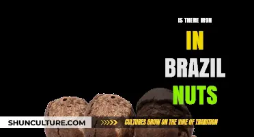 Brazil Nuts and Iron: Uncovering the Nutritional Truth Inside