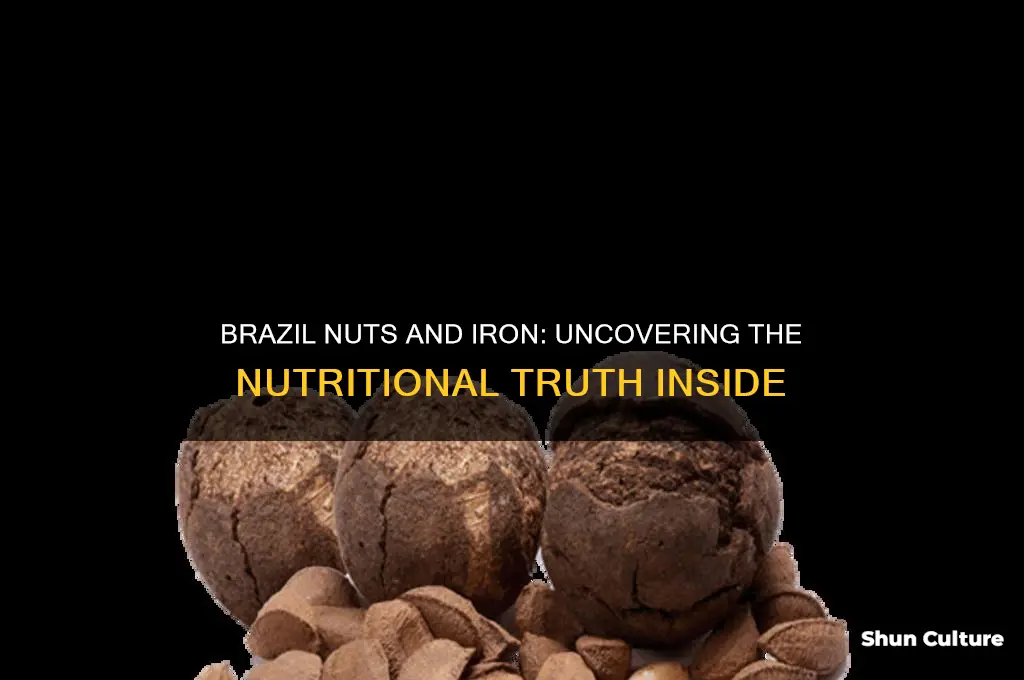 is there iron in brazil nuts