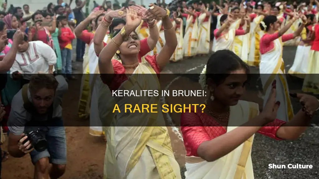 is there is any keralites in brunei