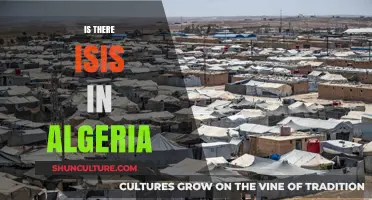 Is ISIS Present in Algeria? Examining the Threat and Reality