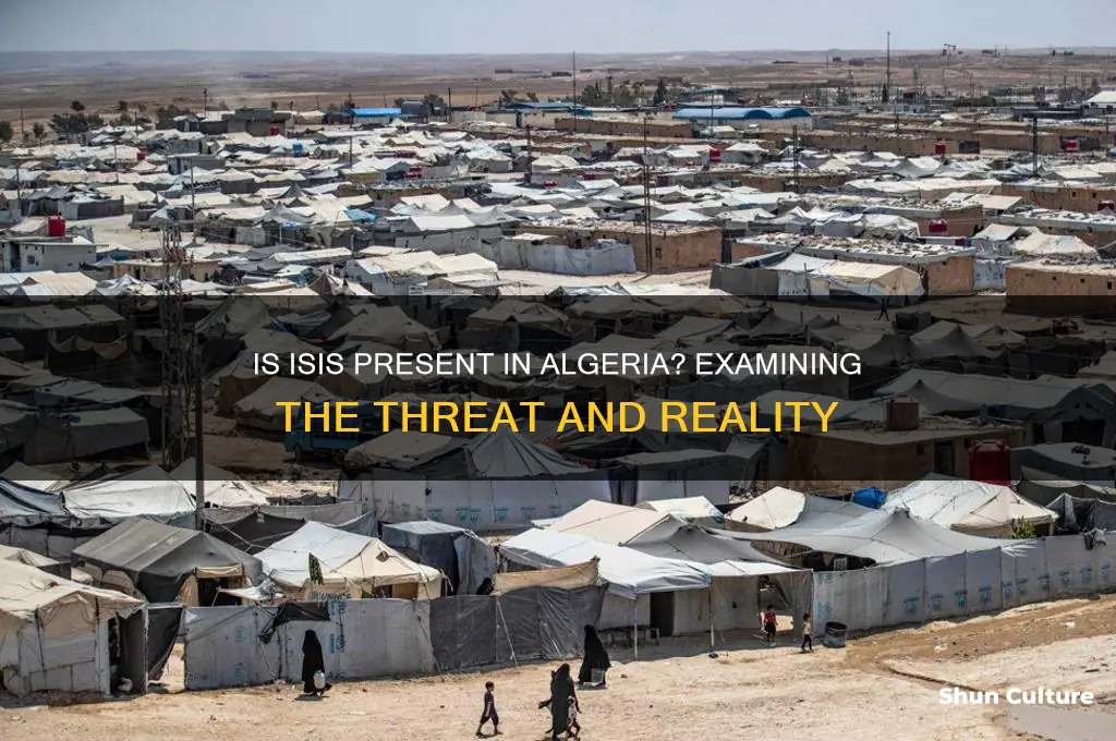 is there isis in algeria