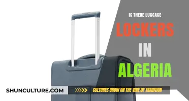 Traveling Light: Exploring Luggage Locker Options in Algeria