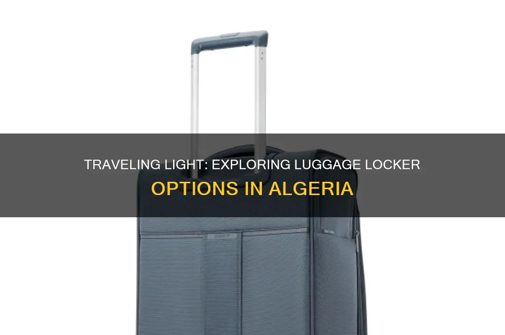 is there luggage lockers in algeria