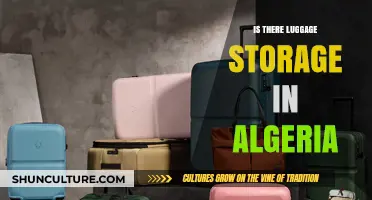 Traveling Light: Discovering Luggage Storage Options in Algeria