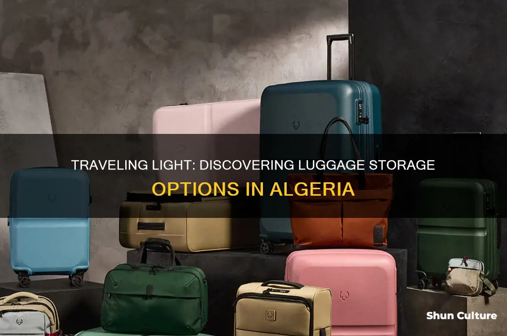 is there luggage storage in algeria