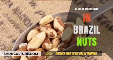 Brazil Nuts and Magnesium: Uncovering the Nutritional Powerhouse Inside