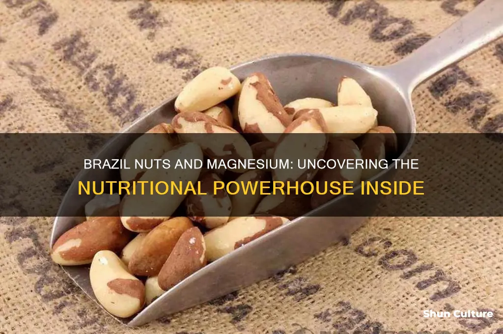is there magnesium in brazil nuts