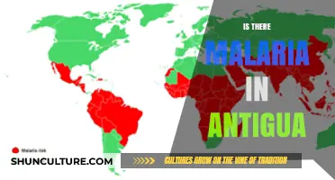 Malaria in Antigua: Current Risks, Prevention, and Travel Tips