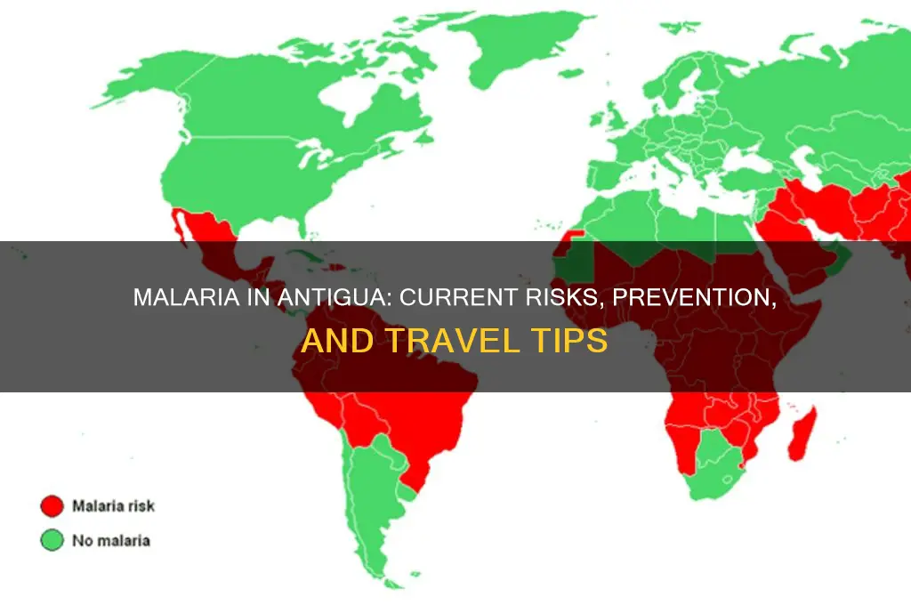 is there malaria in antigua