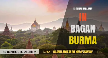 Exploring Bagan, Burma: Malaria Risks and Prevention Tips