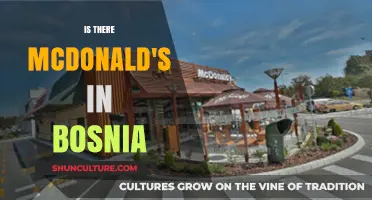McDonald's in Bosnia: Exploring Fast Food Presence in the Balkans