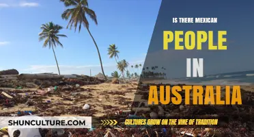 Mexicans in Australia: A Community Down Under