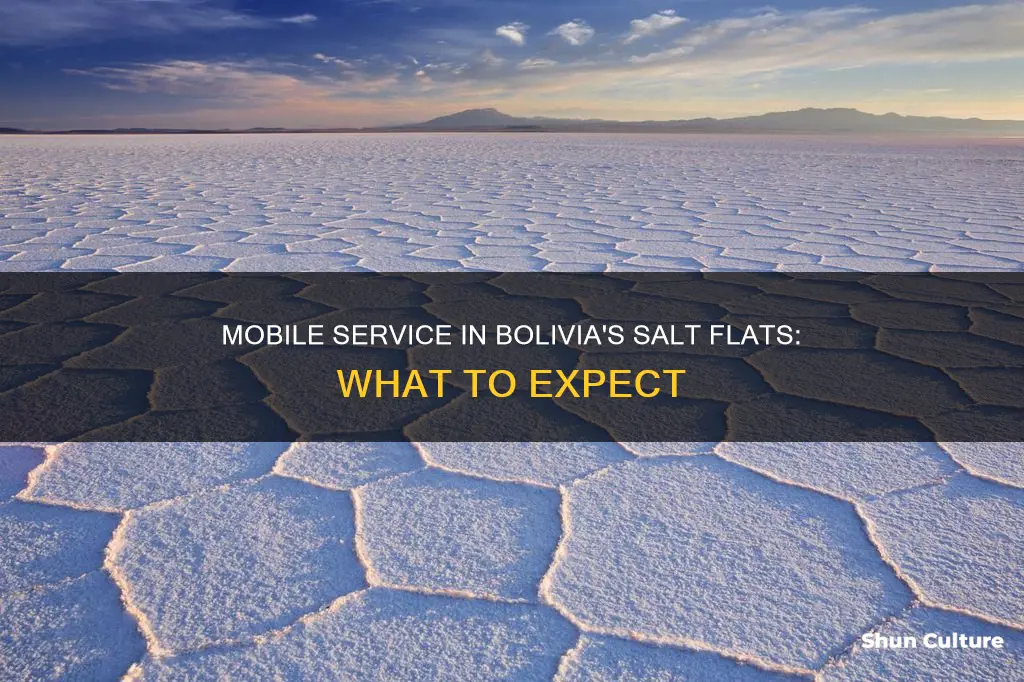 is there mobile serice salt flats bolivia