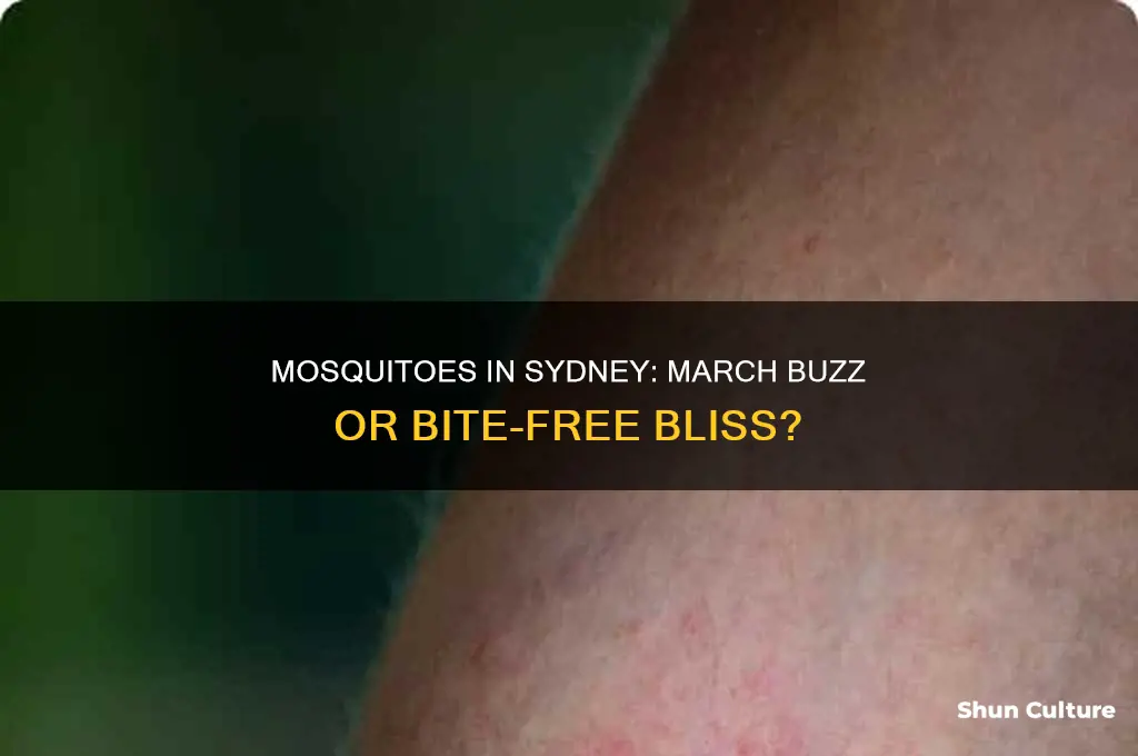 is there mosquitoes in sydney australia in march