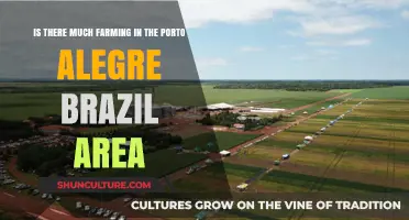 Exploring Porto Alegre's Agricultural Presence: Farming in Southern Brazil