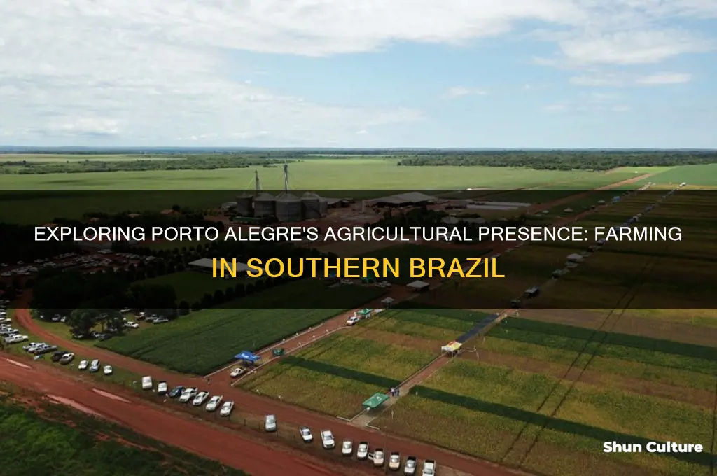 is there much farming in the porto alegre brazil area