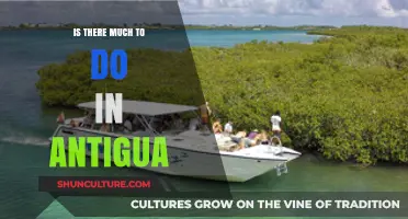 Exploring Antigua: Endless Adventures and Hidden Gems to Discover