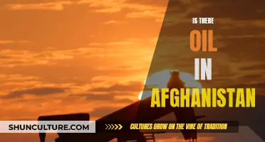 The Afghan Oil Conundrum: Exploring the Country's Energy Potential