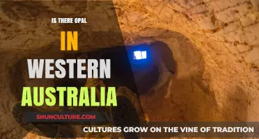 Opal Discovery in Western Australia: A Treasure Trove
