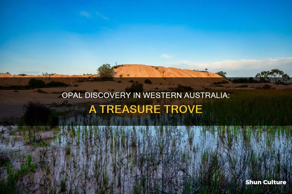 is there opal in western australia