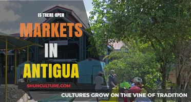 Exploring Antigua's Open Markets: A Guide to Local Shopping and Culture