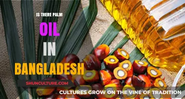 Exploring Palm Oil Presence and Impact in Bangladesh's Economy