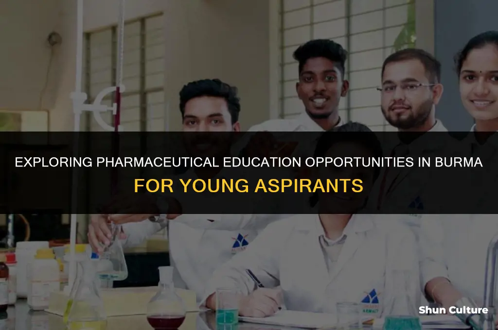 is there pharmaceutical school in burma at early age