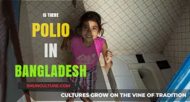 Polio in Bangladesh: Current Status, Risks, and Prevention Efforts