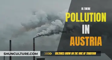 Austria's Pollution: Is the Country Environmentally Safe?