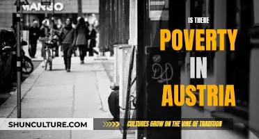 Austria's Poverty: Fact or Fiction?