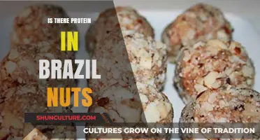 Brazil Nuts: Uncovering Their Protein Content and Nutritional Benefits