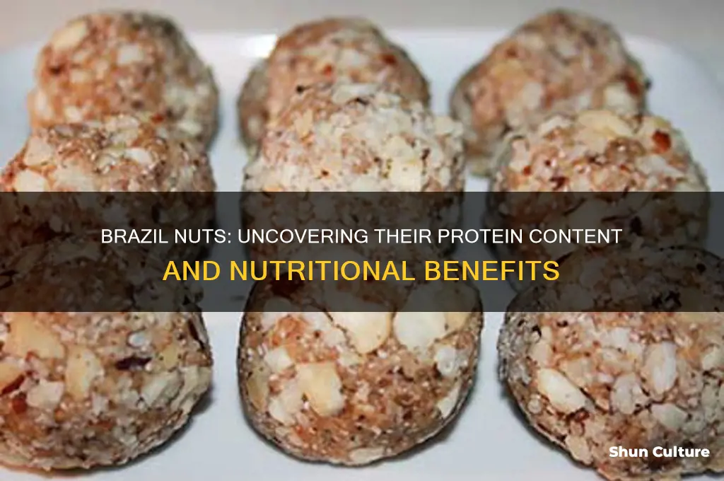 is there protein in brazil nuts