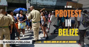 Protests in Paradise: Understanding Civil Unrest in Belize